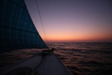 Komodo Cruise (4)
