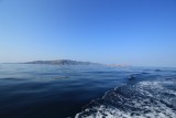 Komodo Cruise (5)