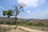 Komodo Cruise (12)