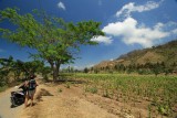 Kuta, Lombok (1)