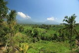 Munduk (6)