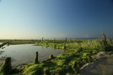 Nusa Lembongan (1)