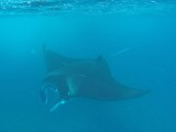 Nusa Lembongan (4)