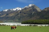 Glenorchy & Omgeving (5)