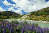 Wanaka & Omgeving (1)