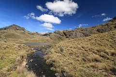 Cajas (1)