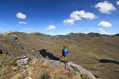 Cajas (2)