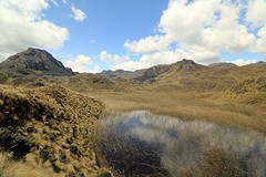 Cajas (3)