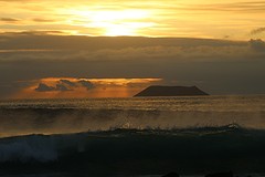 Galapagos (3)