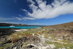 Galapagos (13)