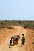 La Guajira (4)