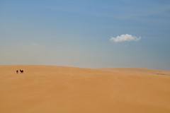 La Guajira (6)