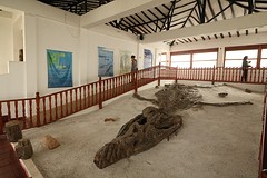 Villa de Leyva (1)