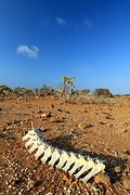 La Guajira (8)
