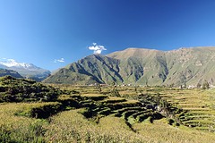 Cañon del Colca (4)