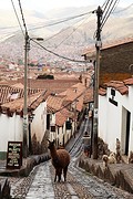 Cusco (6)
