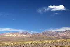 El suroeste (2)