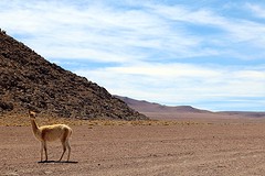 El suroeste (6)