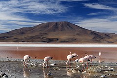 El suroeste (8)