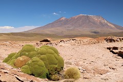 El suroeste (14)