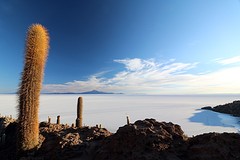 Salar de Uyuni (3)