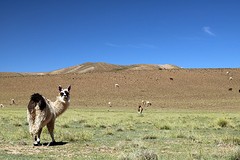 El suroeste (1)