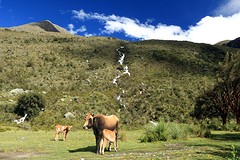 Huaraz (2)