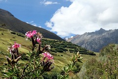 Huaraz (11)