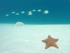 San Blas (4)