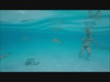 Kerstvakantie op Frans-Polynesië [Low resolution]