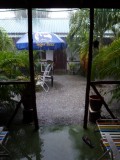 Tropische regenbui