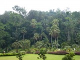 Botanische tuin
