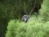 In de botanische tuin...