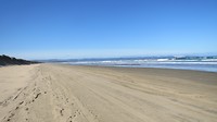 IMG_4005