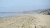 IMG_4008