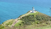 IMG_4029