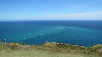 IMG_4031