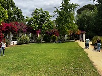 IMG_2152