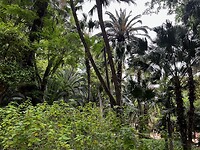 IMG_2147