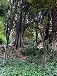 IMG_2146