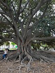 IMG_2142