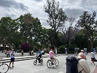 IMG_2139