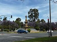 IMG_2124