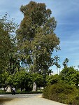 IMG_2120