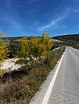 IMG_2186