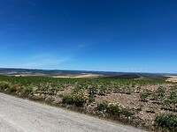 IMG_2180