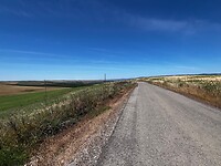 IMG_2179