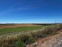 IMG_2178