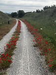 IMG_2191