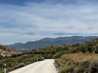 IMG_2212